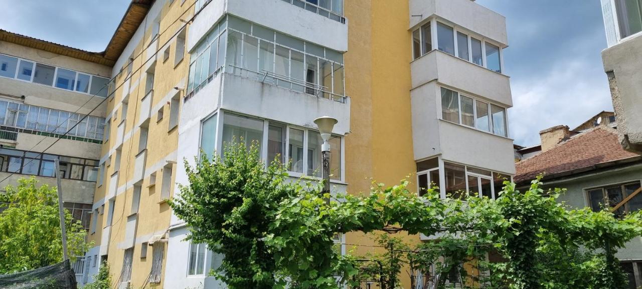Yla Apartments Πιάτρα Νέαμτς Εξωτερικό φωτογραφία